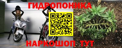 ешки Сланцы