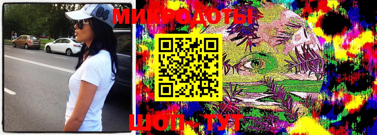 Псилоцибиновые грибы Psilocybe Орск